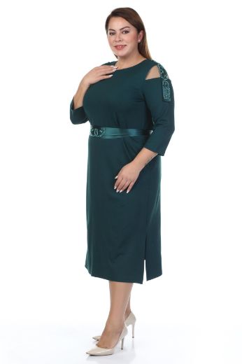 Biljana 6021xl YESIL Büyük Beden Kadın Elbise resmi