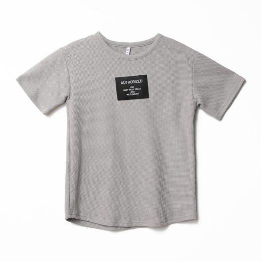 Nanica 122348 GRI Erkek Çocuk T-Shirt resmi