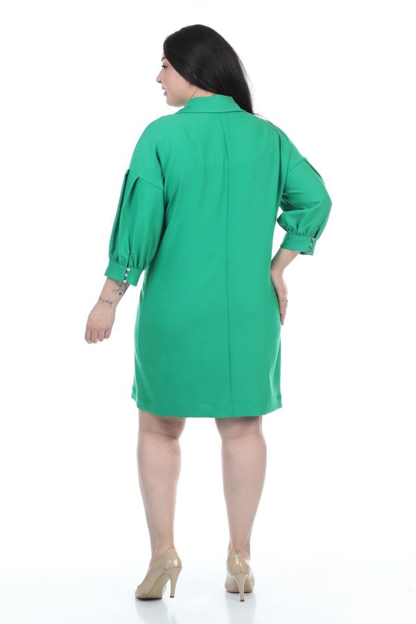 Picture of ROXELAN RDP8245xl GREEN Plus Size Women Dress 