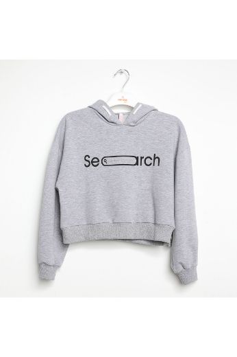 Nanica 422309 GRI Kız Çocuk Sweatshirt resmi