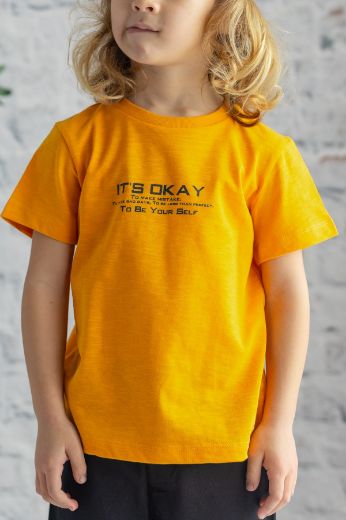 Изображение Zeyland 241Z3TSY51 ГОРЧИЦА Детская футболка для мальчиков