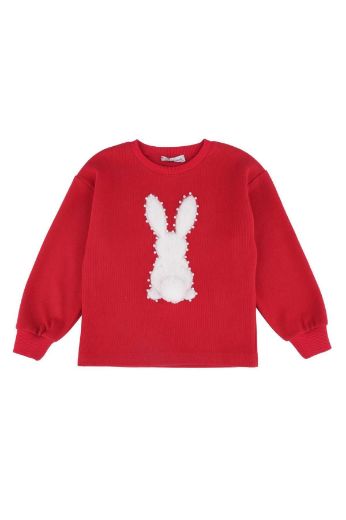 Best Kids BB23KK12255 KIRMIZI Kız Çocuk Sweatshirt resmi