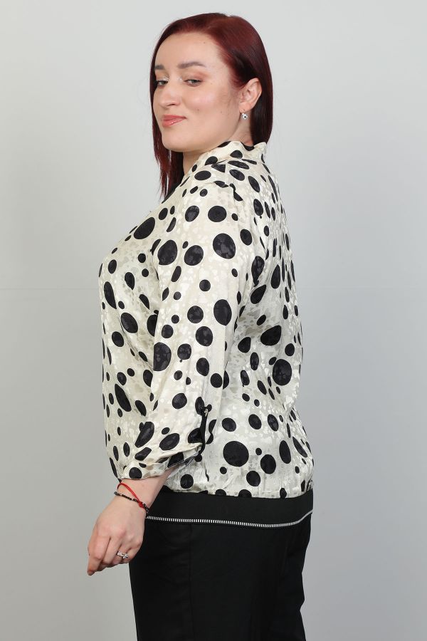 Picture of Aras 11790xl MINK Plus Size Women Blouse 